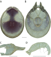 Figure 188.