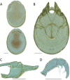 Figure 271.