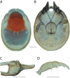 Figure 203.