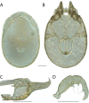 Figure 235.