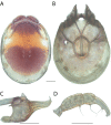 Figure 135.