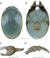 Figure 37.