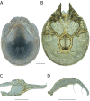 Figure 133.