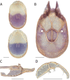 Figure 165.