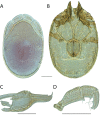 Figure 183.