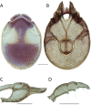 Figure 277.