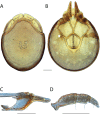 Figure 121.