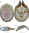 Figure 174.