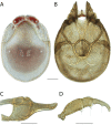 Figure 45.
