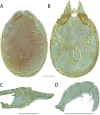 Figure 272.