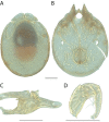 Figure 263.