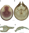 Figure 197.