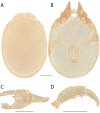 Figure 157.