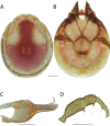 Figure 48.