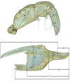 Figure 5.
