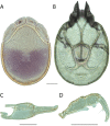 Figure 250.