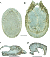 Figure 58.