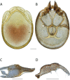 Figure 180.