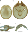 Figure 60.