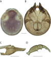 Figure 198.