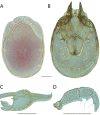 Figure 182.