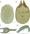 Figure 192.