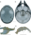 Figure 36.