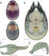 Figure 91.