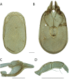 Figure 31.