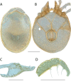 Figure 139.