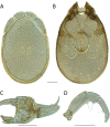 Figure 94.