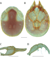 Figure 49.