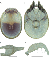 Figure 136.