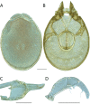 Figure 168.
