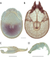 Figure 251.