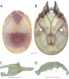 Figure 63.