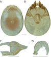 Figure 176.