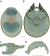 Figure 25.