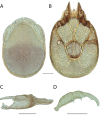 Figure 54.