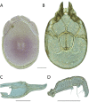 Figure 141.