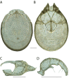 Figure 57.