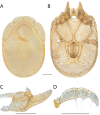 Figure 110.