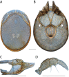 Figure 210.