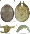 Figure 97.
