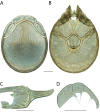 Figure 215.