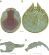 Figure 71.