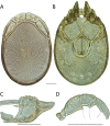 Figure 209.