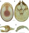 Figure 39.