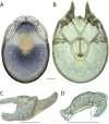 Figure 73.
