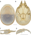 Figure 79.